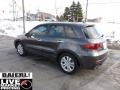 Polished Metal Metallic - RDX SH-AWD Photo No. 5