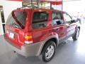 2001 Toreador Red Metallic Ford Escape XLT V6  photo #4