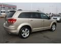 2009 Light Sandstone Metallic Dodge Journey R/T  photo #2