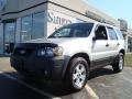 2005 Silver Metallic Ford Escape XLT V6 4WD  photo #1