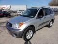 Titanium Metallic - RAV4  Photo No. 2
