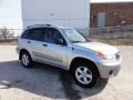 Titanium Metallic - RAV4  Photo No. 6