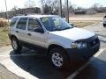 2005 Silver Metallic Ford Escape XLT V6 4WD  photo #3