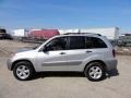 Titanium Metallic - RAV4  Photo No. 11