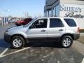 2005 Silver Metallic Ford Escape XLT V6 4WD  photo #7