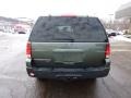 2004 Estate Green Metallic Ford Expedition XLT 4x4  photo #3