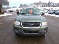 2004 Estate Green Metallic Ford Expedition XLT 4x4  photo #7