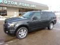 2009 Black Ford Expedition EL Limited 4x4  photo #8