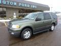 2004 Estate Green Metallic Ford Expedition XLT 4x4  photo #8