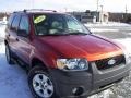 2006 Blazing Copper Metallic Ford Escape XLT V6 4WD  photo #8