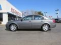 Willow Gray - Sonata GLS Photo No. 4