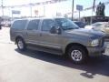 2003 Mineral Grey Metallic Ford Excursion Limited  photo #3