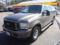 2003 Mineral Grey Metallic Ford Excursion Limited  photo #8