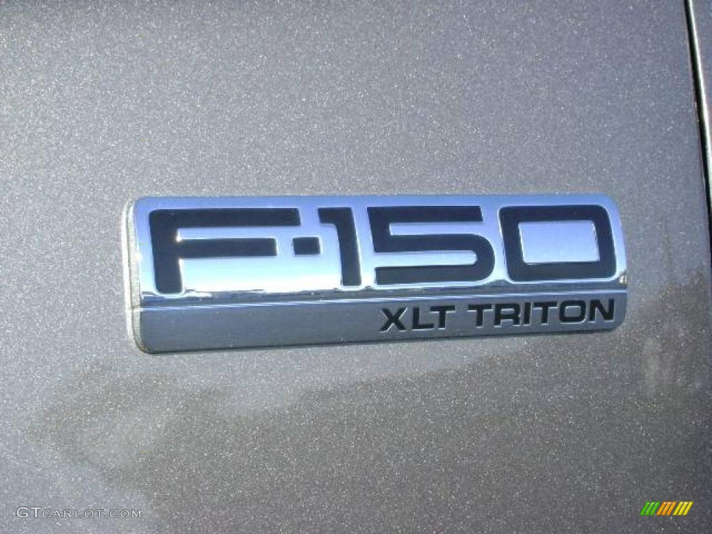 2006 F150 XLT SuperCrew - Dark Shadow Grey Metallic / Medium/Dark Flint photo #10