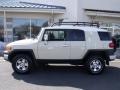 Sandstorm Metallic - FJ Cruiser 4WD Photo No. 2