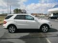 Arctic White - ML 350 4Matic Photo No. 29