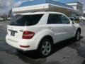 Arctic White - ML 350 4Matic Photo No. 30