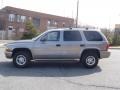 2000 Bright Platinum Metallic Dodge Durango SLT 4x4  photo #10