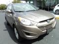 Chai Bronze 2010 Hyundai Tucson Limited Exterior