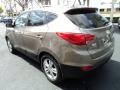 2010 Chai Bronze Hyundai Tucson Limited  photo #7