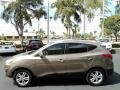 Chai Bronze 2010 Hyundai Tucson Limited Exterior