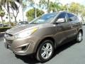 2010 Chai Bronze Hyundai Tucson Limited  photo #10