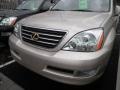 Savannah Beige Metallic - GX 470 Photo No. 2