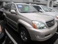 Savannah Beige Metallic - GX 470 Photo No. 3