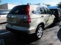 2009 Borrego Beige Metallic Honda CR-V EX  photo #2