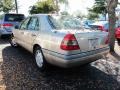 1996 Smoke Silver Metallic Mercedes-Benz C 220 Sedan  photo #3