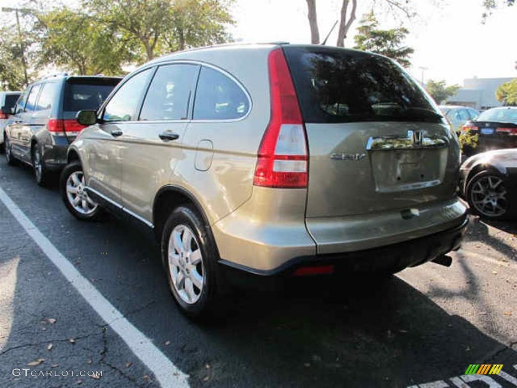 2009 CR-V EX - Borrego Beige Metallic / Ivory photo #4