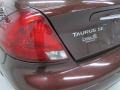 Chestnut Metallic - Taurus SE Photo No. 10