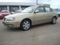 Champagne Metallic - Elantra GLS Sedan Photo No. 2