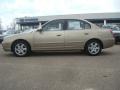 Champagne Metallic - Elantra GLS Sedan Photo No. 3