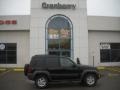 Black Clearcoat - Liberty Sport 4x4 Photo No. 1