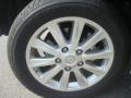 2010 Lexus LX 570 Wheel and Tire Photo