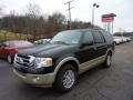 Tuxedo Black 2010 Ford Expedition Eddie Bauer 4x4 Exterior