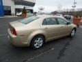 2008 Sandstone Metallic Chevrolet Malibu LS Sedan  photo #10