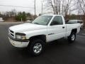 1998 Bright White Dodge Ram 1500 Sport Regular Cab 4x4  photo #3