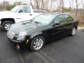 Sable Black - CTS Sedan Photo No. 3