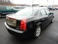 Sable Black - CTS Sedan Photo No. 11