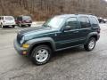 2006 Jeep Green Metallic Jeep Liberty Sport 4x4  photo #5