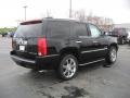 2011 Black Raven Cadillac Escalade Luxury AWD  photo #5