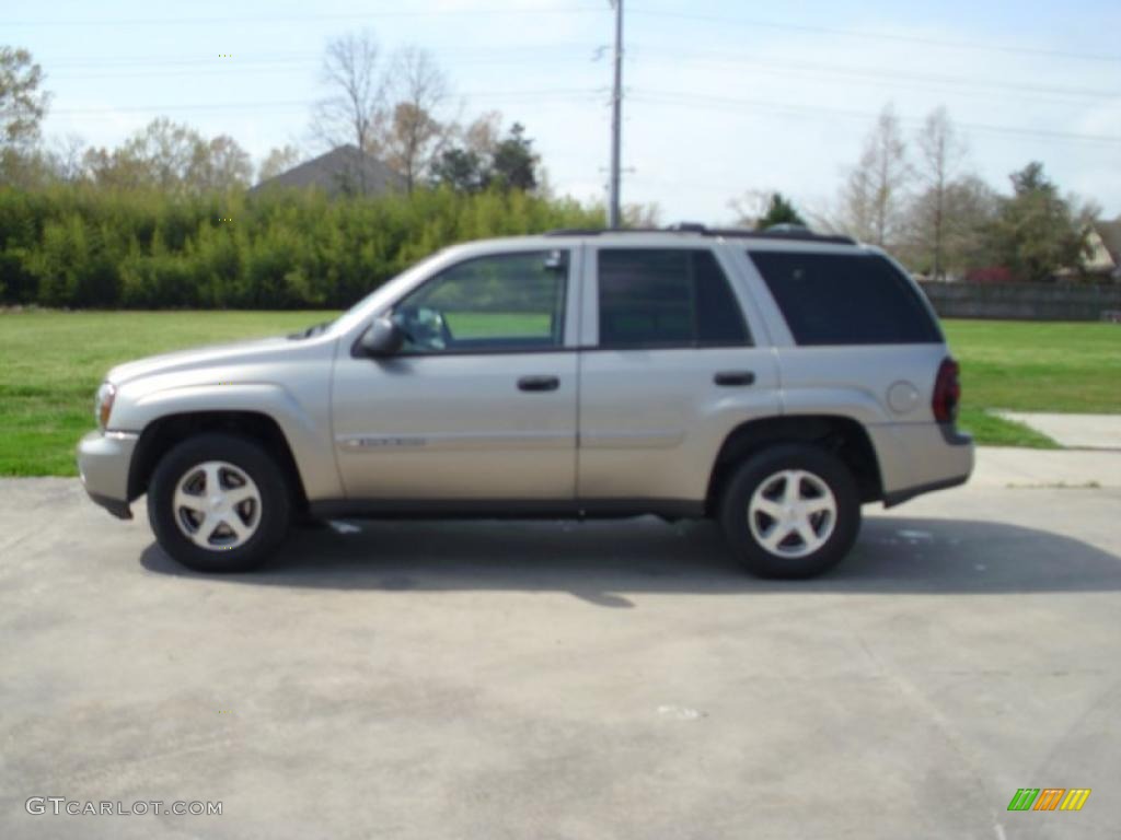 2003 TrailBlazer LS - Light Pewter Metallic / Medium Pewter photo #1