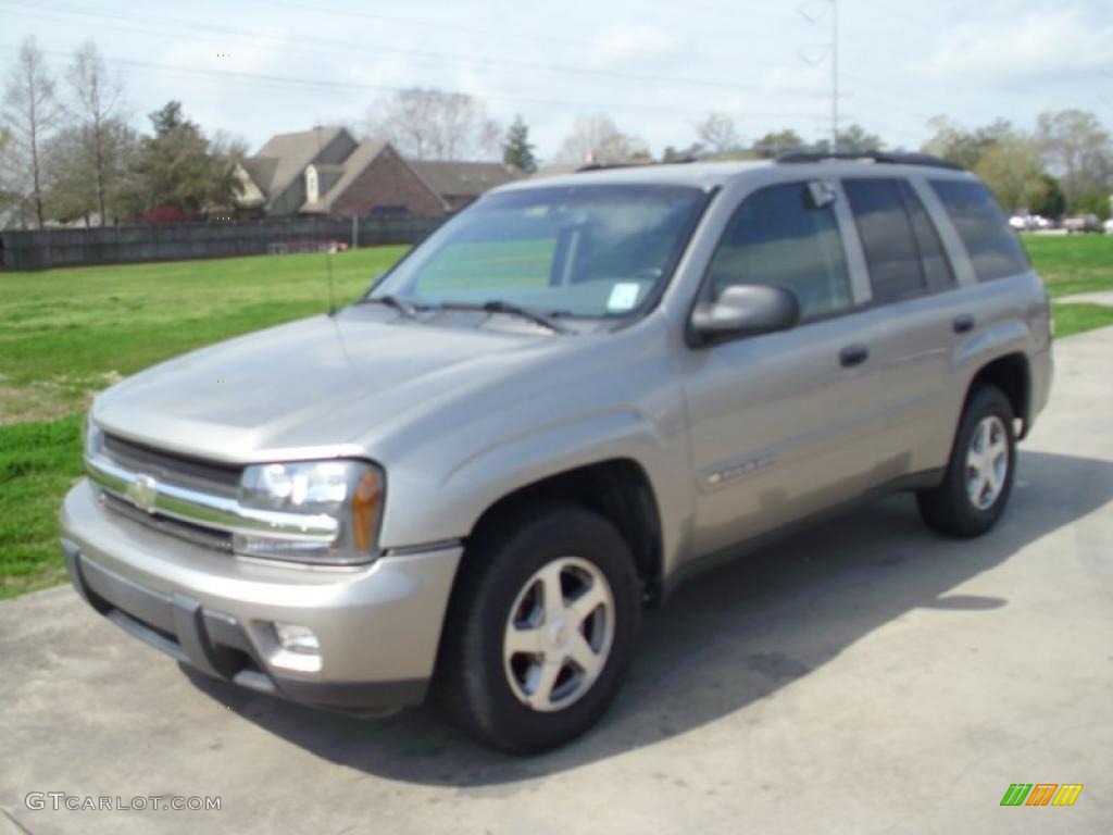 2003 TrailBlazer LS - Light Pewter Metallic / Medium Pewter photo #2