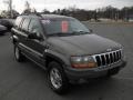 Taupe Frost Metallic 2000 Jeep Grand Cherokee Laredo 4x4 Exterior