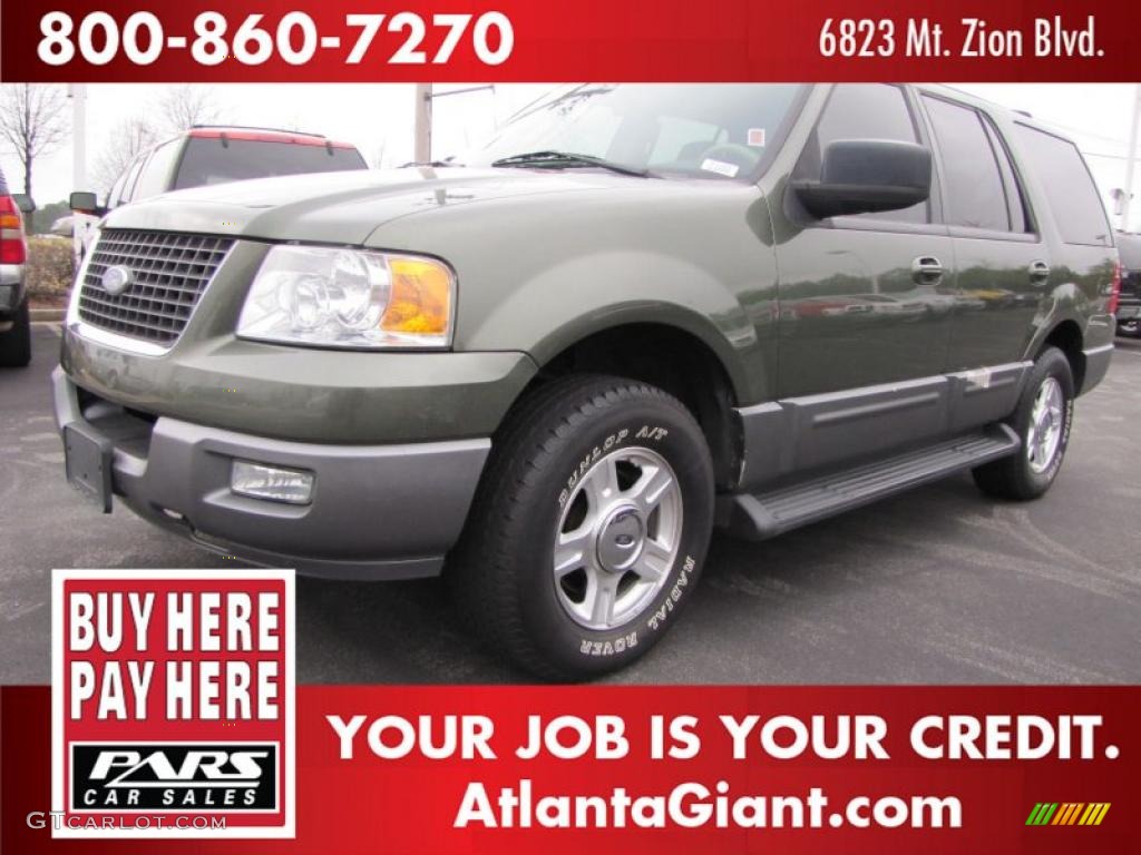 2003 Expedition XLT - Estate Green Metallic / Medium Parchment photo #1