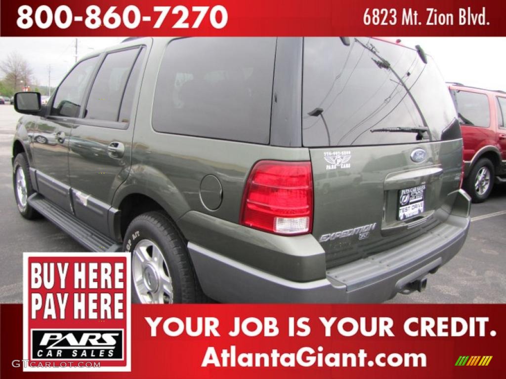 2003 Expedition XLT - Estate Green Metallic / Medium Parchment photo #2