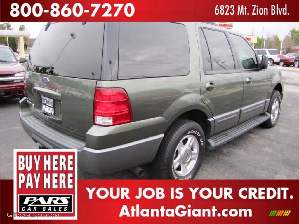 2003 Expedition XLT - Estate Green Metallic / Medium Parchment photo #3