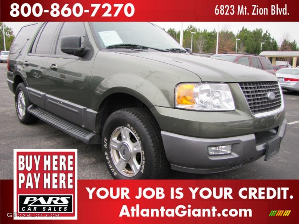 2003 Expedition XLT - Estate Green Metallic / Medium Parchment photo #4